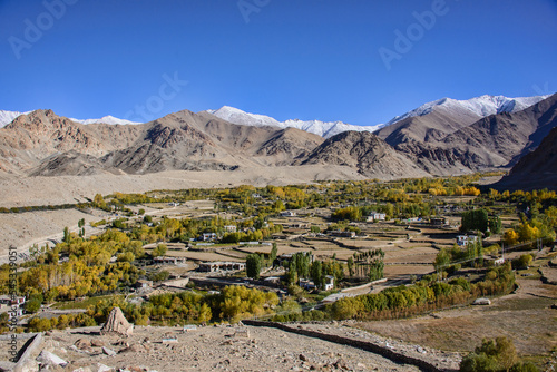 Autumn colors in the upper Leh Valley, Ladakh, India. photo