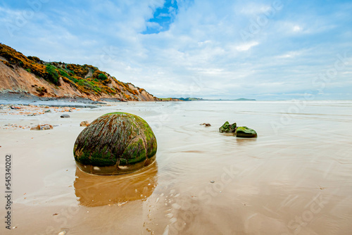 Moeraki boulders in South Island, New Zealand. photo