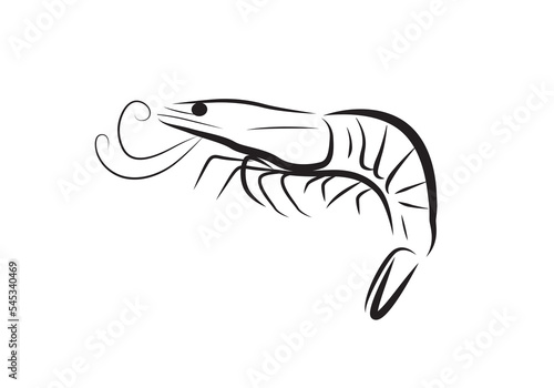 Prawn or shrimp vector isolated on white.