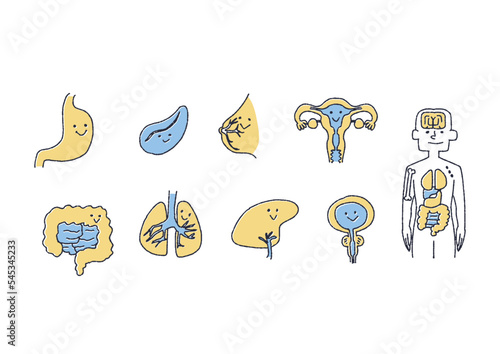 親しみやすい人間の健康な臓器のイラスト
