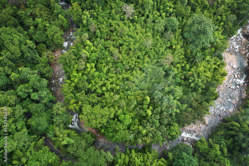 aerial view of river in the forest aerial view of river in the forest