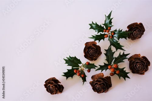 柊の葉と赤い実　クリスマス背景