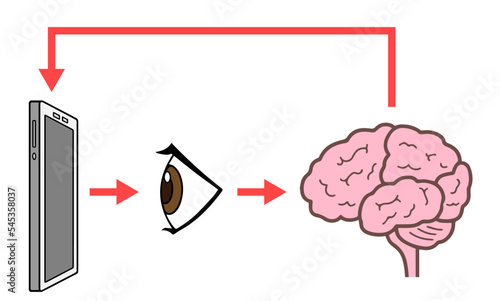 スマホを見る目と脳、瞳、横側、情報ループ