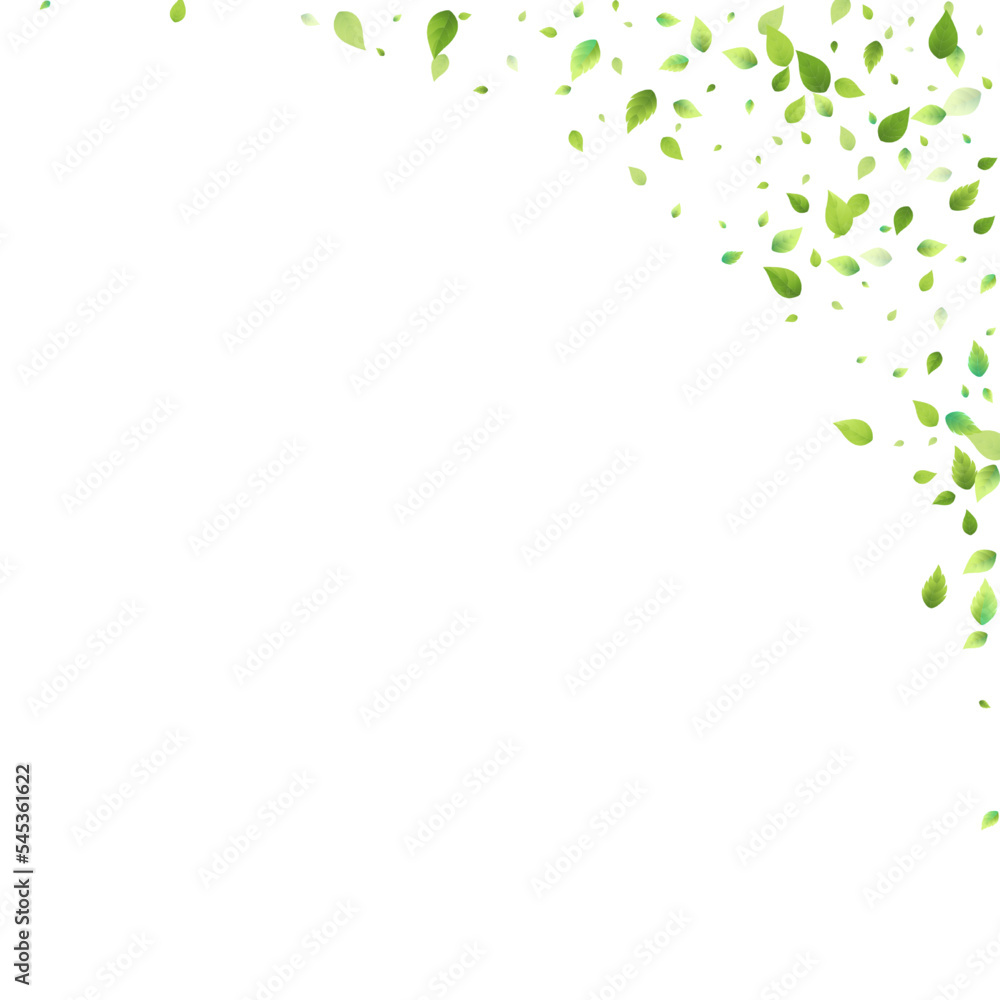 Leaves Green Falling Flying Foliage Leaf Tea Mint Leaves Green Falling Flying Foliage Leaf Tea Mint