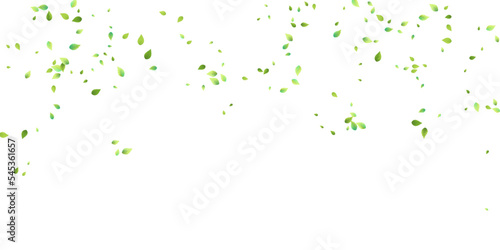 Leaves Green Falling Flying Foliage Leaf Tea Mint © Сашка Шаргаева