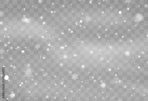 Snow background with many snowflakes. Winter backdrop. Vector illustration