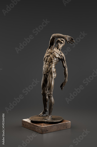 Canvas-taulu Anatomic model from 1500s