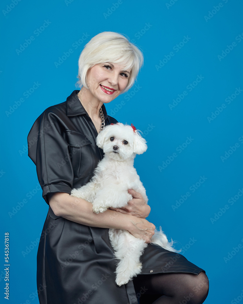 portrait of an adult blonde with a small Maltese lapdog on a blue background portrait of an adult blonde with a small Maltese lapdog on a blue background