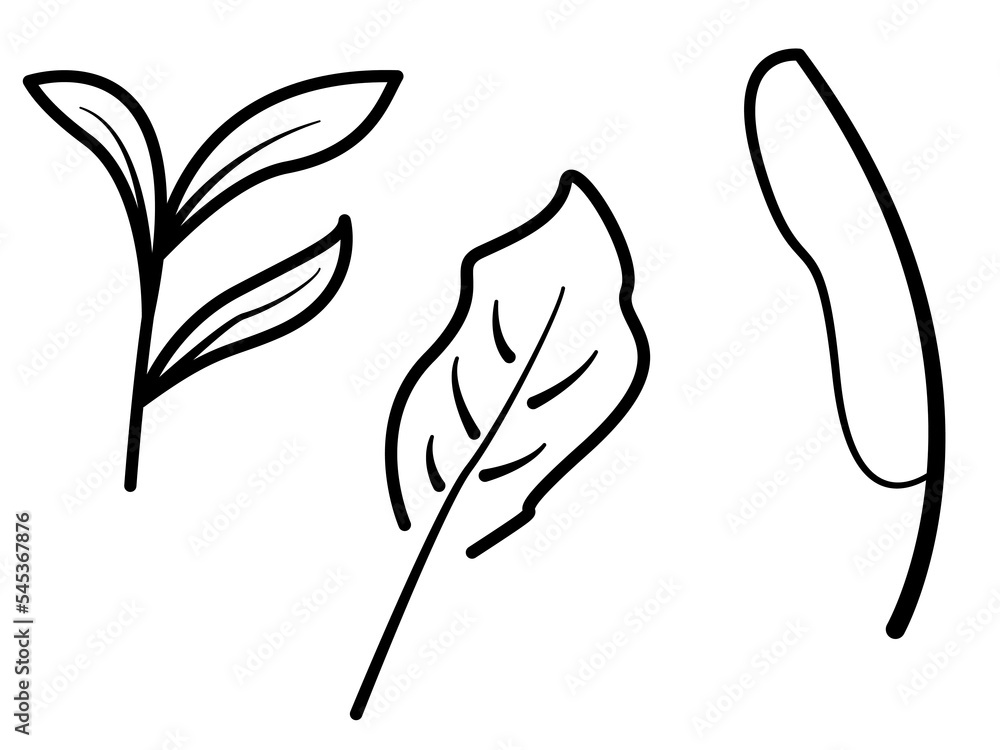 Leaf-shaped outline graphic design with several shapes suitable for complementary design needs