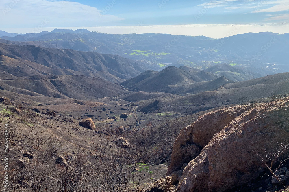 Little Sycamore Canyon after Woolsey Fire, Santa Monica Mountains
