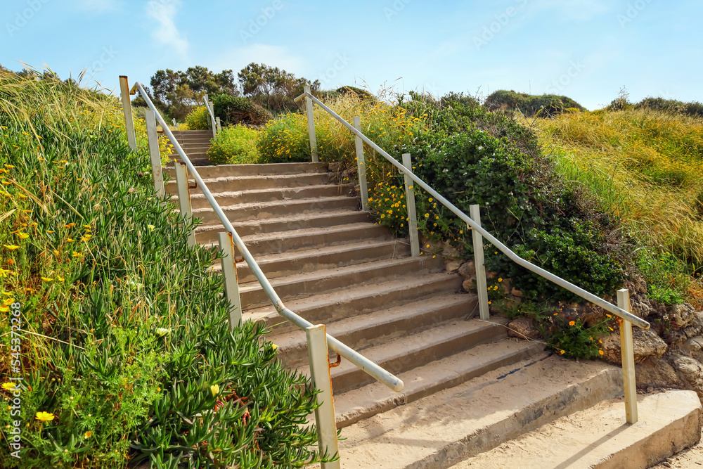 View of stairs and bushes near beach on sunny day