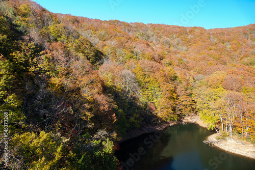 桧原湖の紅葉