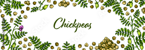Colorful horizontal chickpeas design. Hand drawn illustration in colored sketch style. Botany design for packaging, label, banner, poster