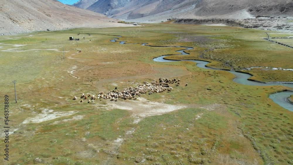 Landscape aerial view of herd of sheep and mountains with river and green valley in Himalayas with blue sky in Nubra valley, Jammu and Kashmir, India. Landscape aerial view of herd of sheep and mountains with river and green valley in Himalayas with blue sky in Nubra valley, Jammu and Kashmir, India.