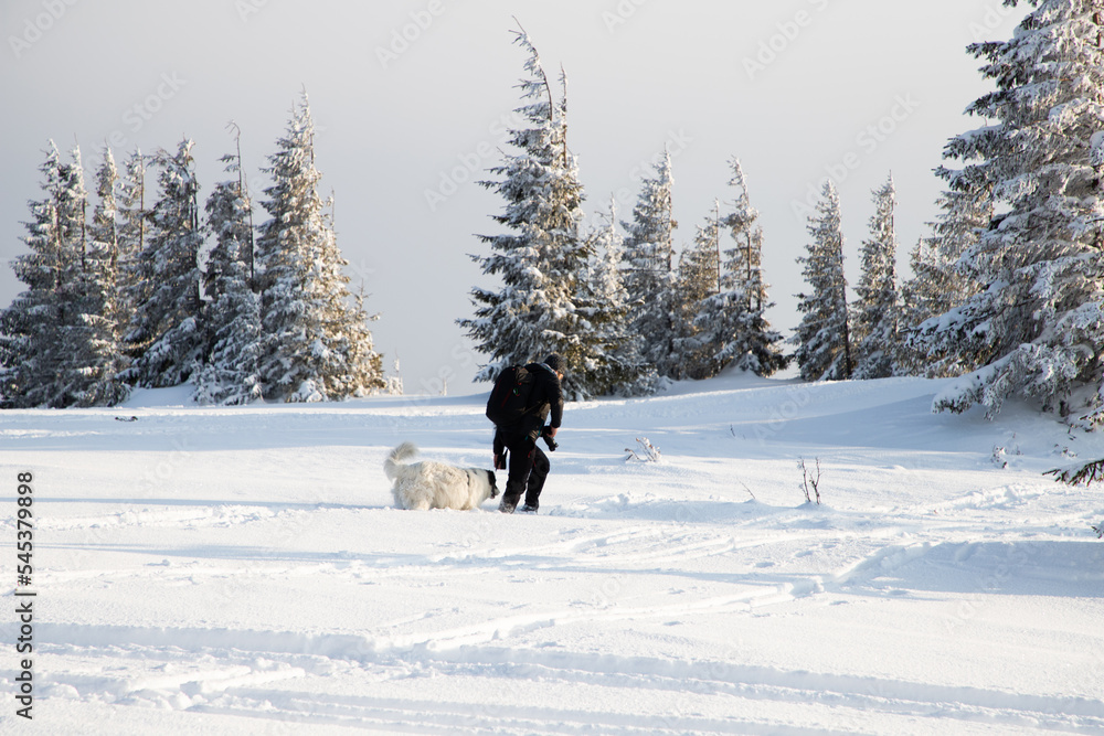 man and dog trekking in big snow in mountains in winter