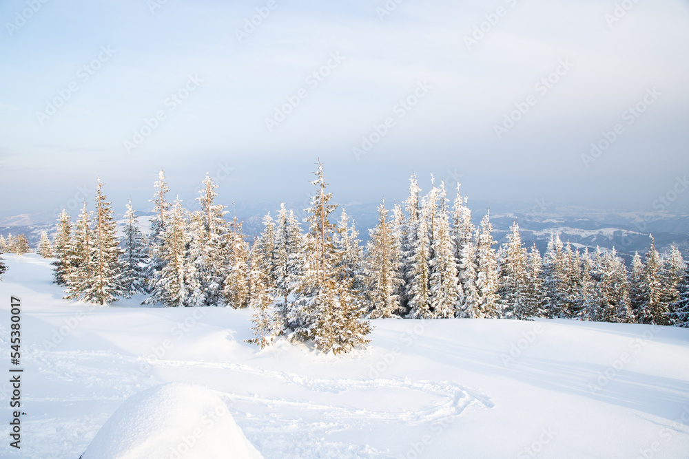 beautiful winter landscape with snowy fir trees beautiful winter landscape with snowy fir trees