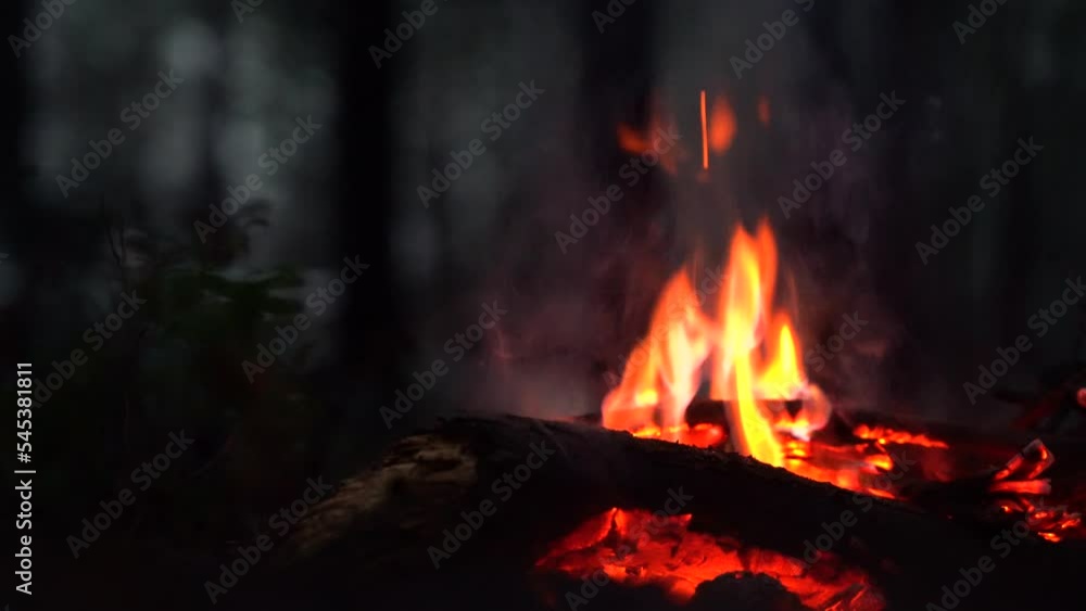 Campfire in the forest. Beautiful landscape of nature and trees. Sparks and flames. Rest by the fire. Camping in the woods. Burning firewood. Evening bonfire. Campfire in the forest. Beautiful landscape of nature and trees. Sparks and flames. Rest by the fire. Camping in the woods. Burning firewood. Evening bonfire.