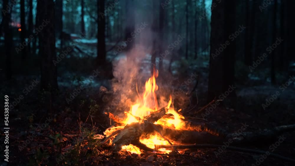 Campfire in the forest. Beautiful landscape of nature and trees. Sparks and flames. Rest by the fire. Camping in the woods. Burning firewood. Evening bonfire. Rain and snow in the forest Campfire in the forest. Beautiful landscape of nature and trees. Sparks and flames. Rest by the fire. Camping in the woods. Burning firewood. Evening bonfire. Rain and snow in the forest