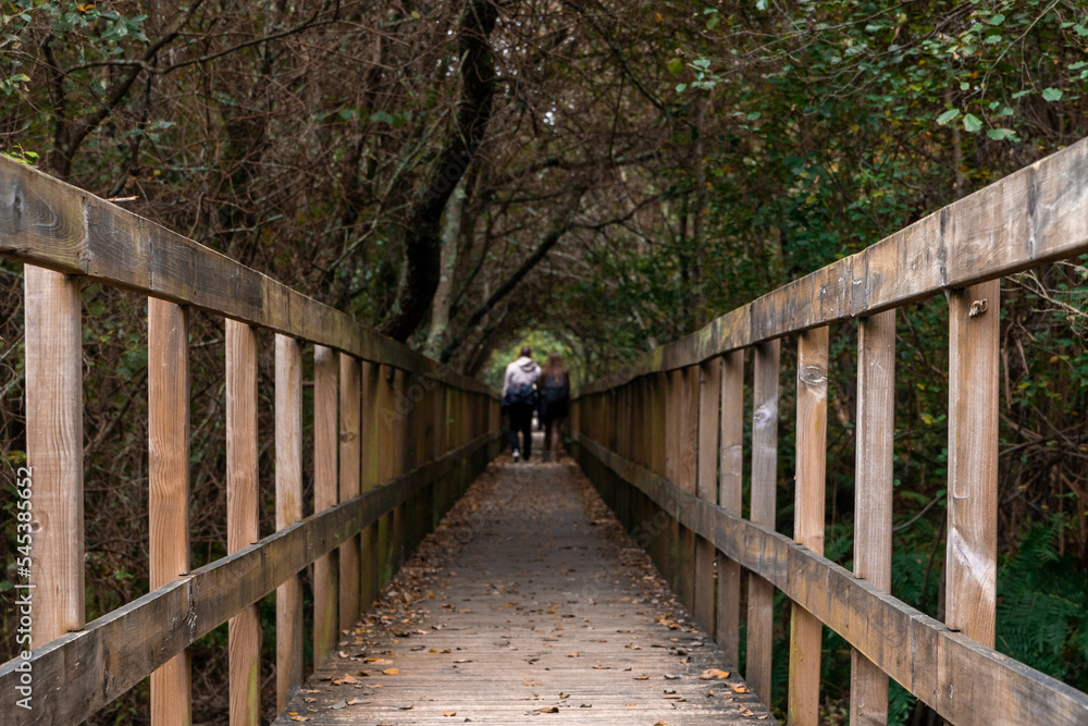 Wooden Walkway inside the nature in Ponte de Lima, Portugal