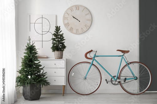 Interior of living room with bicycle, chest of drawers and small fir trees