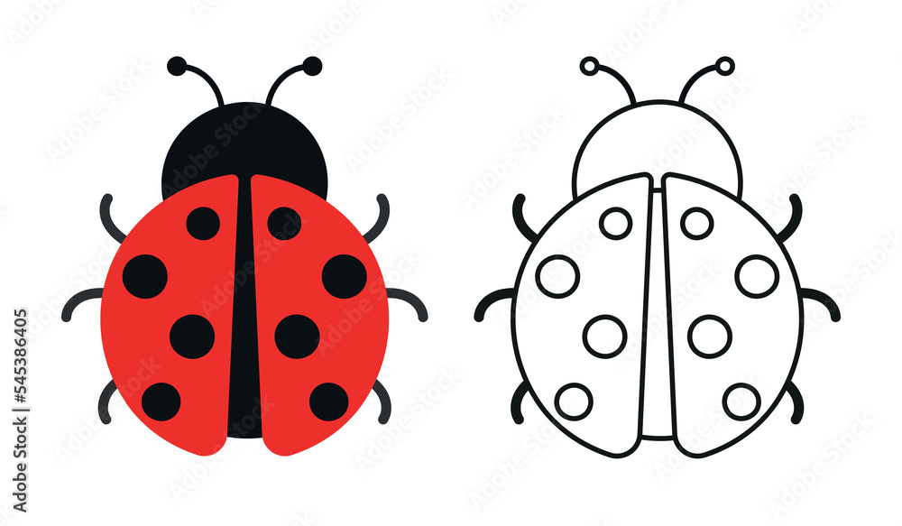 Fototapeta premium Coloring Book Ladybug Insect Animal Cartoon Animated Vector Illustration