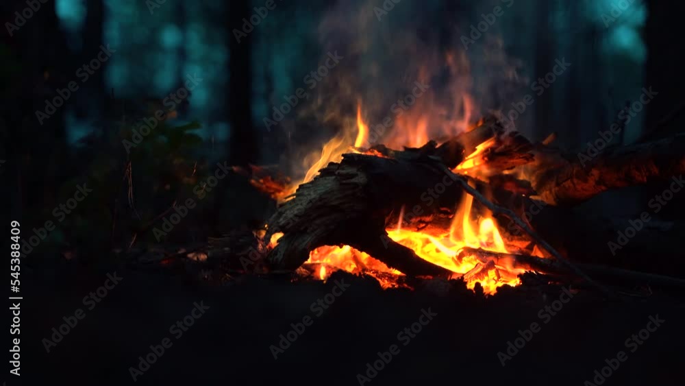 Campfire in the forest. Beautiful landscape of nature and trees. Sparks and flames. Rest by the fire. Camping in the woods. Burning firewood. Evening bonfire. Blue Sky Campfire in the forest. Beautiful landscape of nature and trees. Sparks and flames. Rest by the fire. Camping in the woods. Burning firewood. Evening bonfire. Blue Sky