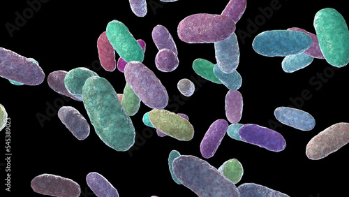 Bacteria Aggregatibacter, illustration photo