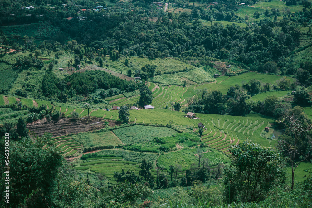 rice terraces in region country