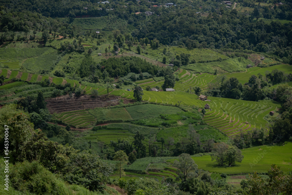 rice terraces landscape