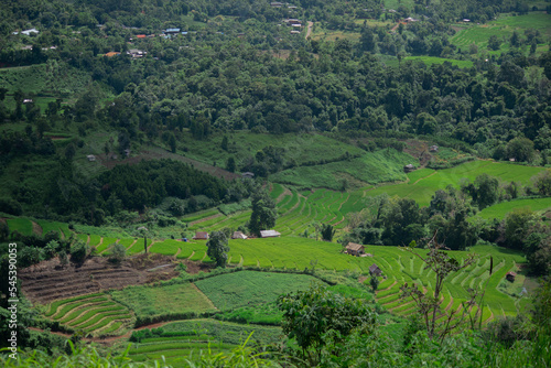 rice terraces landscape