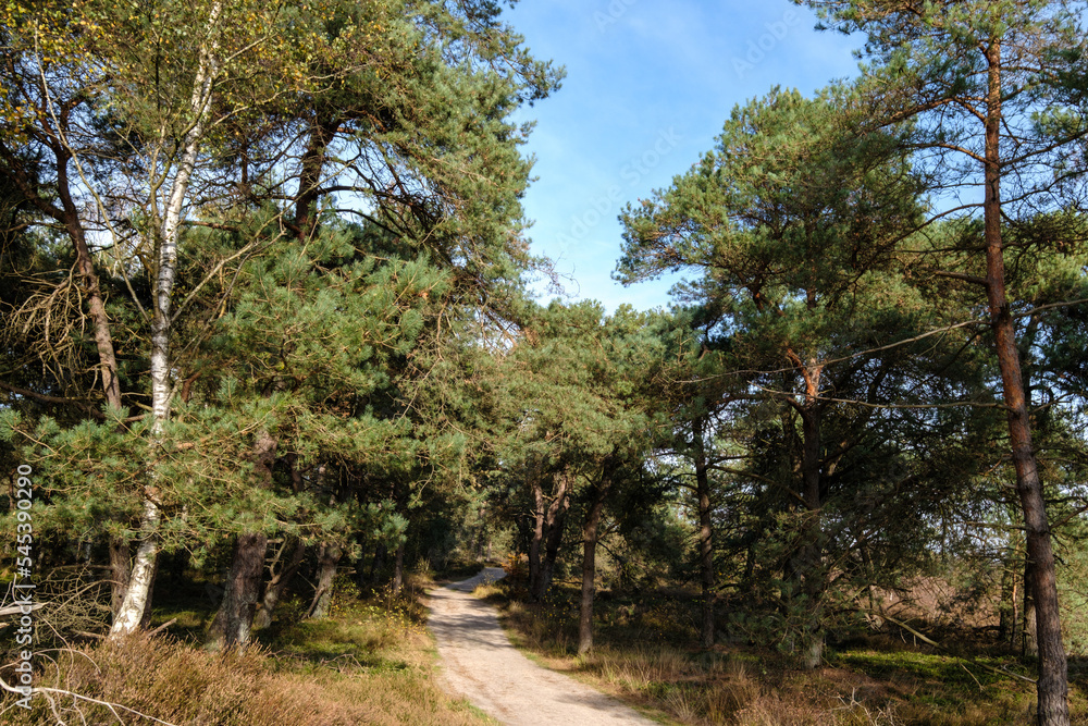 Nature reserve Sallandse Heuvelrug Nature reserve Sallandse Heuvelrug