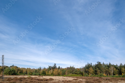 Nature reserve Sallandse Heuvelrug