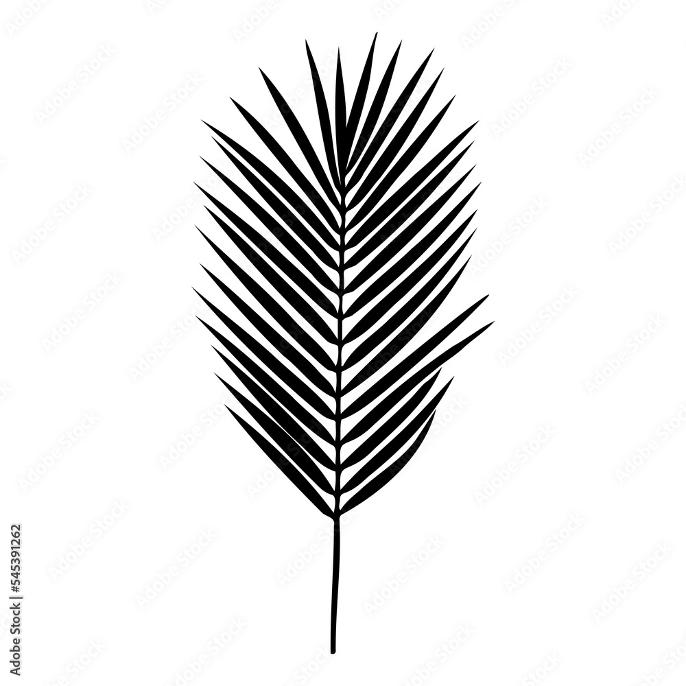 Silhouette of a palm leaf isolated on a white background. Vector illustration Silhouette of a palm leaf isolated on a white background. Vector illustration