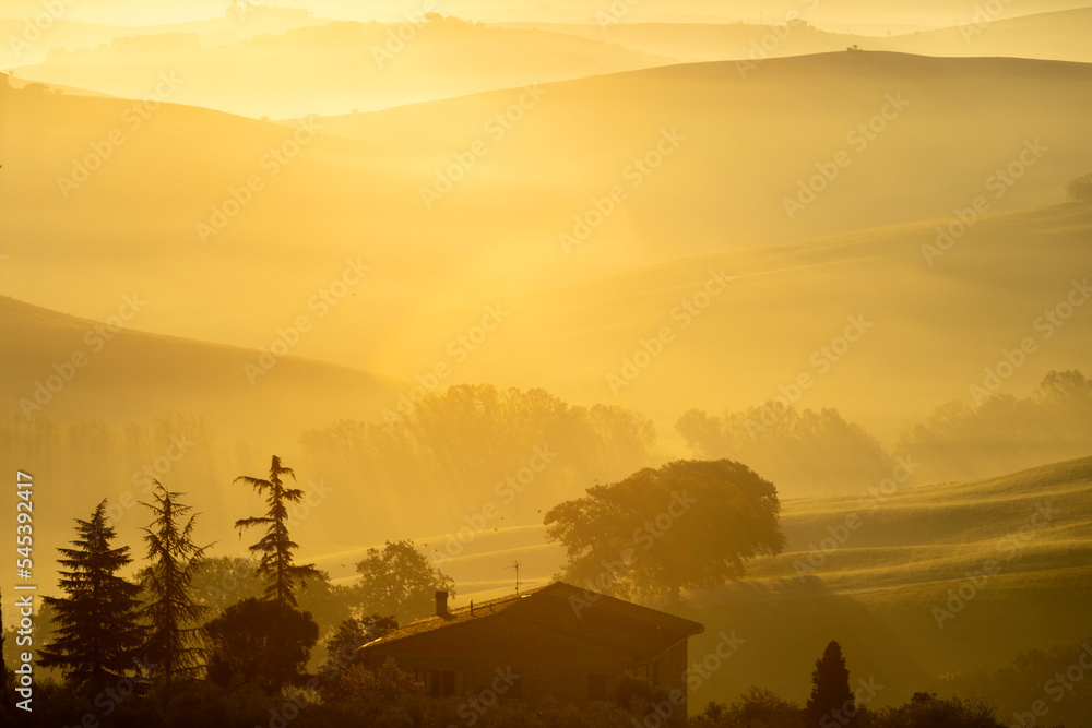 Obraz premium Scenic morning light in Tuscany, Italy. Scenic golden sunrise light in Tuscany.