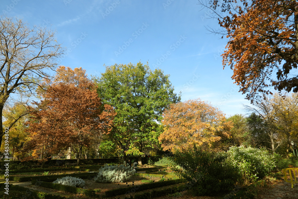 Naklejka premium Otoño en el Jardín Botánico de Madrid