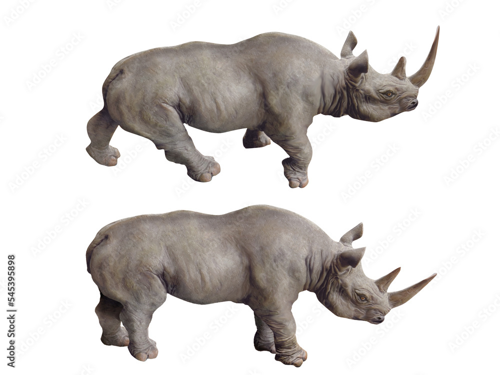Obraz premium rhinocéros, mammifère, animal, faune, sauvage, safari, nature, grand, jardin , corne, zoologique, dangereux, cornu, compromettre, fond blanc