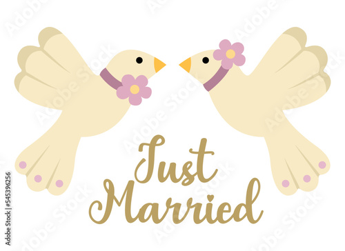 Vector wedding doves with flowers and just married inscription. Cute marriage clipart element. Newly married couple birds. Cartoon ceremony symbol illustration.