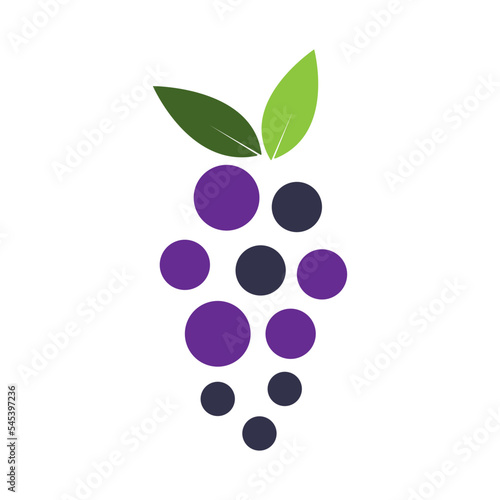 grape fruit icon