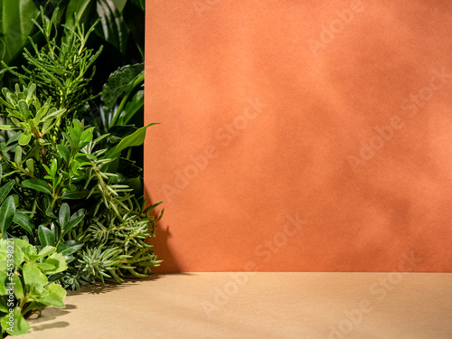 Minimalist botanical background with copy space. Neutral toned showcase for new product demonstration, promotion sale, packaging presentation, cosmetic or merchandise. Light and shadow. Front view.