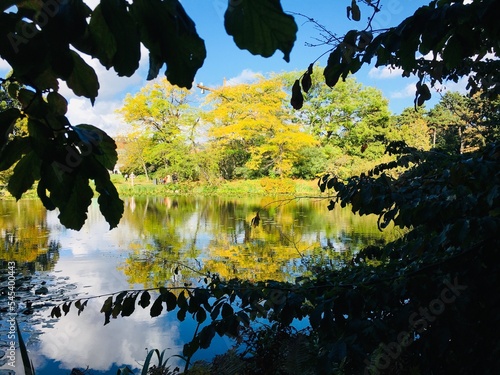 landscape with lake