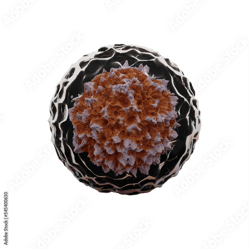 Stem Cell with Nukleus and Membrane photo