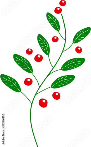 illustration of a branch with red berries
