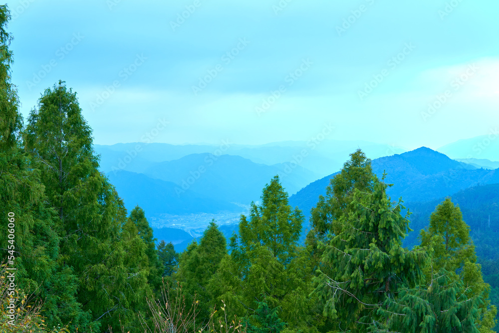 山奥にある森林と景色 山奥にある森林と景色