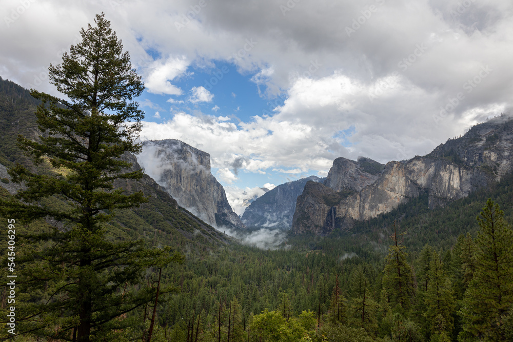 Fototapeta premium Valley in Yosemeti National Park with conifers, low clouds, cloudy sky and patches of fog, California, USA 
