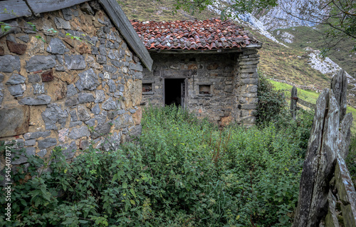 abandoned house weeds mountain