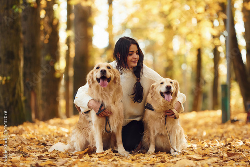 Photography Sitting on the ground and embracing the animals