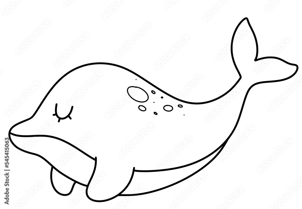 Whale Outline Whale Outline