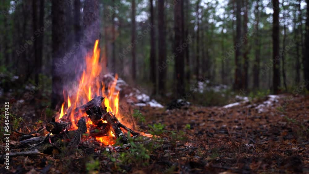 Campfire in the forest. Beautiful landscape of nature and trees. Sparks and flames. Rest by the fire. Camping in the woods. Burning firewood. Evening bonfire. Rain and snow in the forest. With sound Campfire in the forest. Beautiful landscape of nature and trees. Sparks and flames. Rest by the fire. Camping in the woods. Burning firewood. Evening bonfire. Rain and snow in the forest. With sound