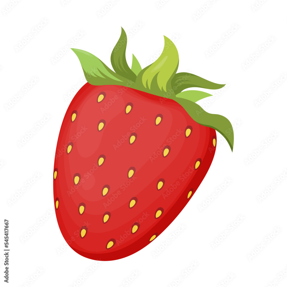 Vector illustration of ripe strawberries isolated on a white background. Vector illustration of ripe strawberries isolated on a white background.