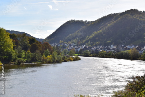 Moseltal im Herbst photo